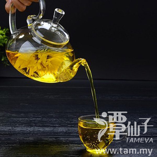 Heat Resistant Filter Cocktail Teapot Offer Malaysia 翘尾把松鼠壶