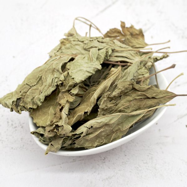 Malaysia Best Offer for Mulberry Leaf Tea Loose Leave 桑叶茶