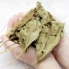 Malaysia Offer for Mulberry Leaf Tea Loose Leave Price 2020 桑叶茶