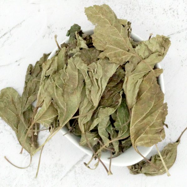 Malaysia Promotion Offer for Mulberry Leaf Tea Loose Leave 桑叶茶