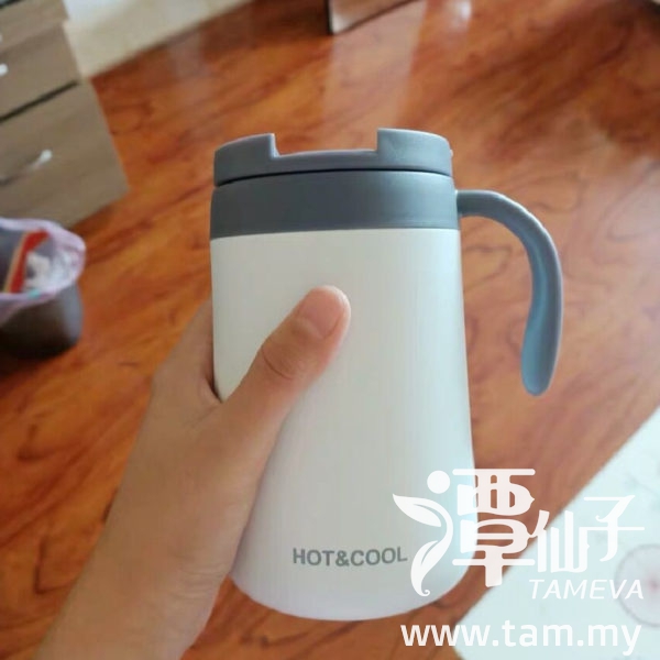 Simple Frosted Insulation Mug Malaysia
