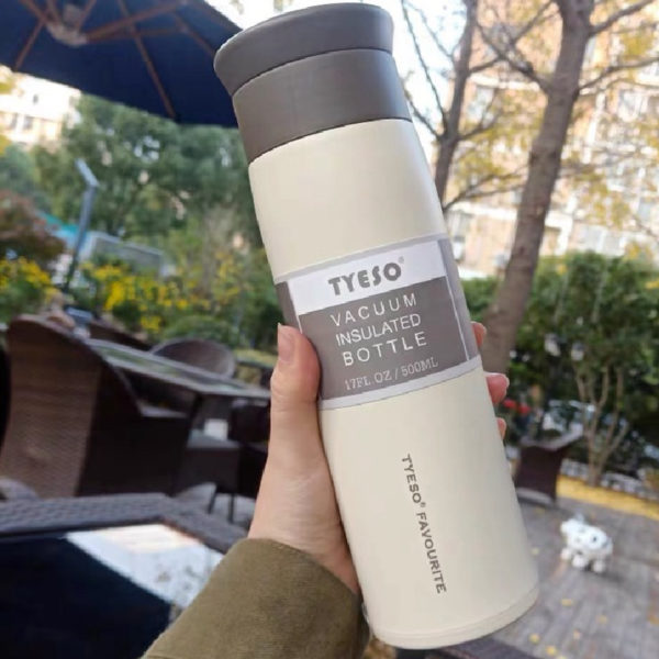 Simple Literary Frosted Vacuum Flask Malaysia