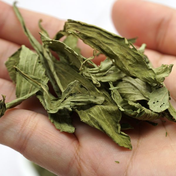 SweetLeaf Natural Stevia Leaf Tea 甜菊叶茶 Cheap SweetLeaf Natural Stevia Leaf Promotion